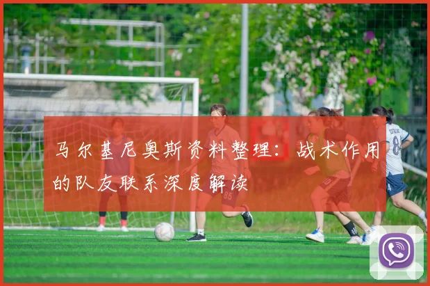 马尔基尼奥斯资料整理:战术作用的队友联系深度解读