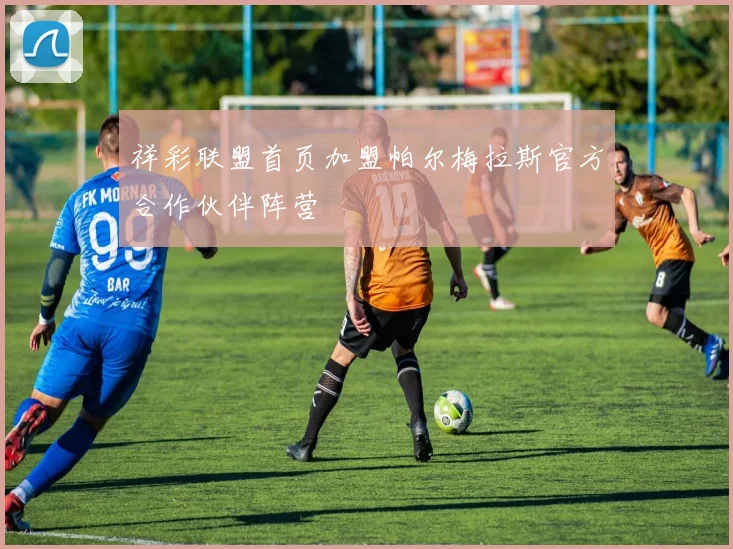 祥彩联盟首页加盟帕尔梅拉斯官方合作伙伴阵营